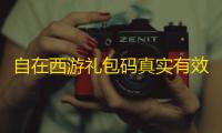 自在西游礼包码真实有效2022